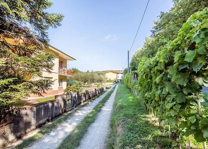 Appartement Poggio Del Sole *